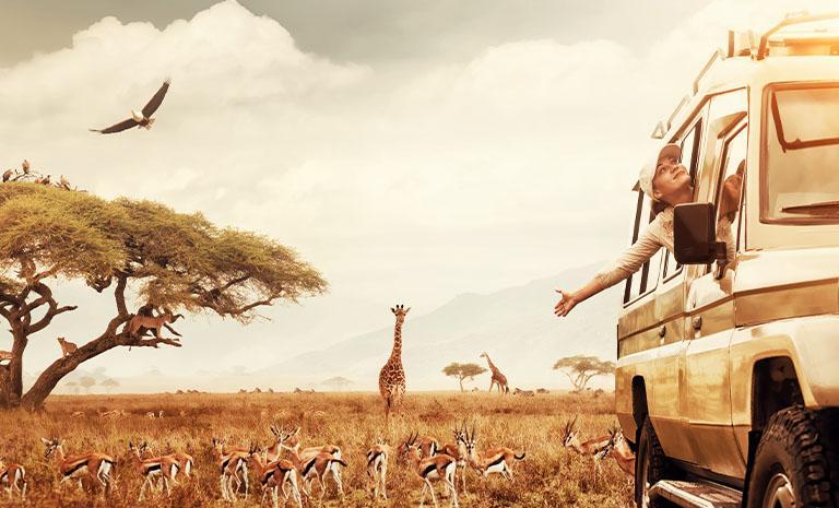 肯亞．野性之美12日 - 馬賽馬拉4晚．邂逅非洲五霸．草原騎馬遊獵