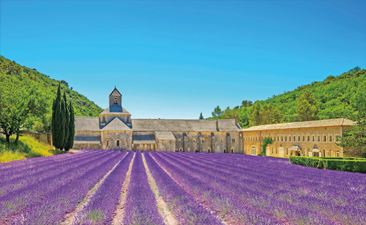 2026日本歐洲賞花全攻略|各國花季時間、日本紫藤、荷蘭鬱金香、歐洲薰衣草、常見問題