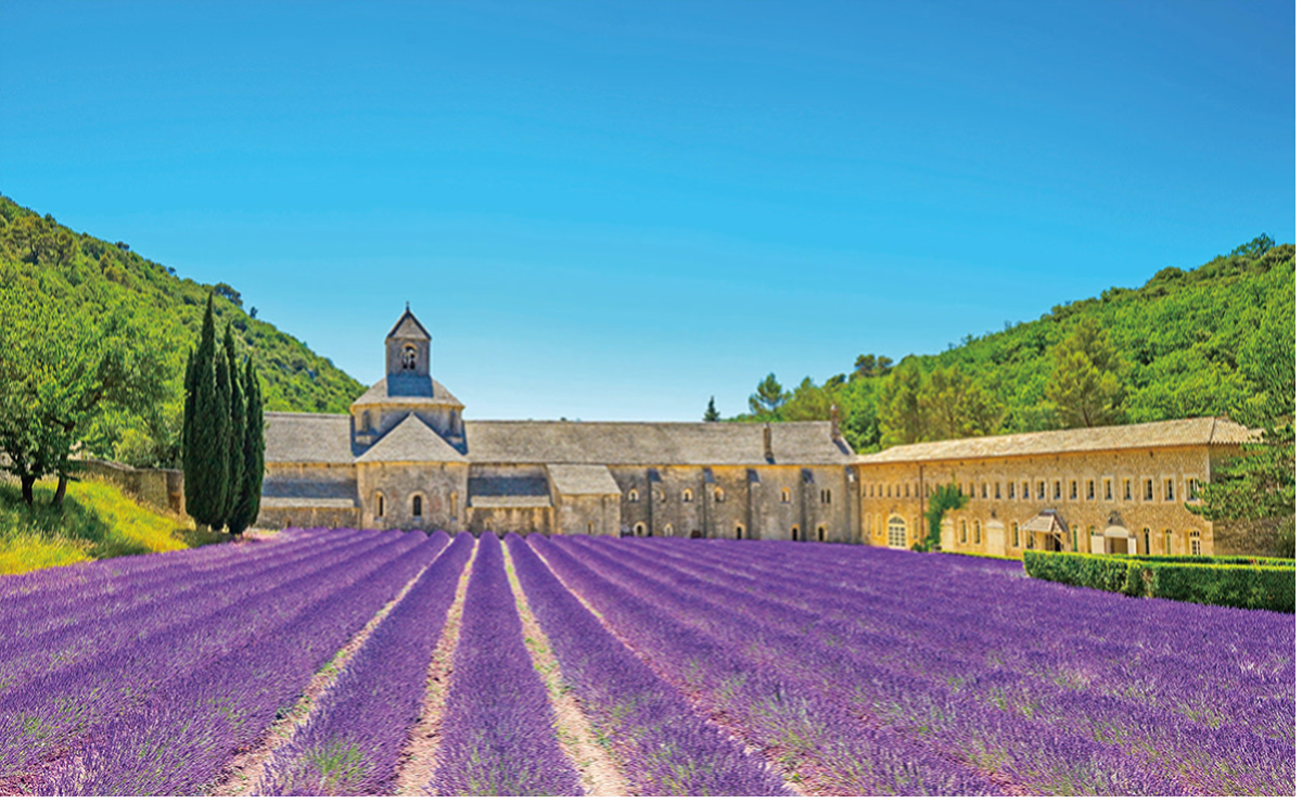 2026日本歐洲賞花全攻略|各國花季時間、日本紫藤、荷蘭鬱金香、歐洲薰衣草、常見問題