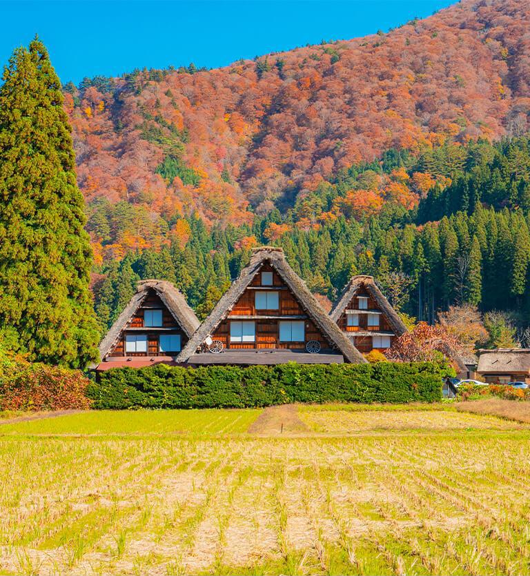 北陸‧立山黑部‧合掌村 - Hokuriku