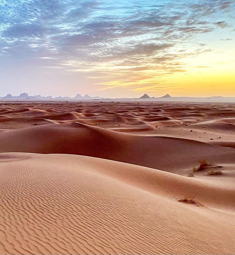 阿爾及利亞 - ALGERIA