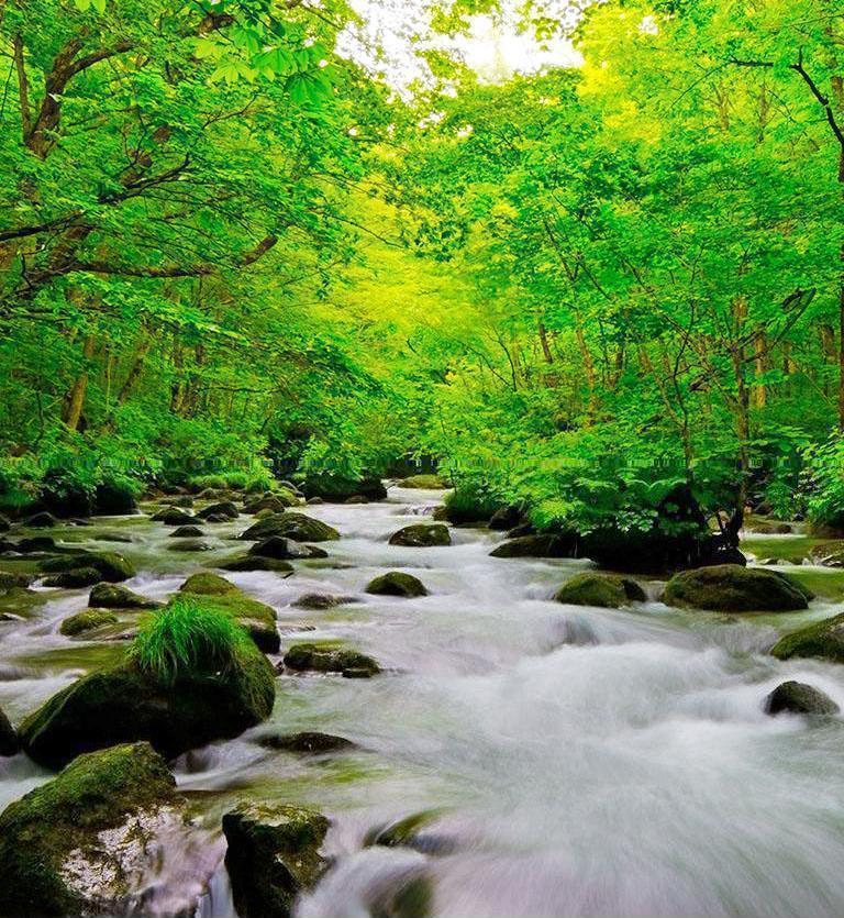 東北‧青森‧奧入瀨溪 - Tohoku