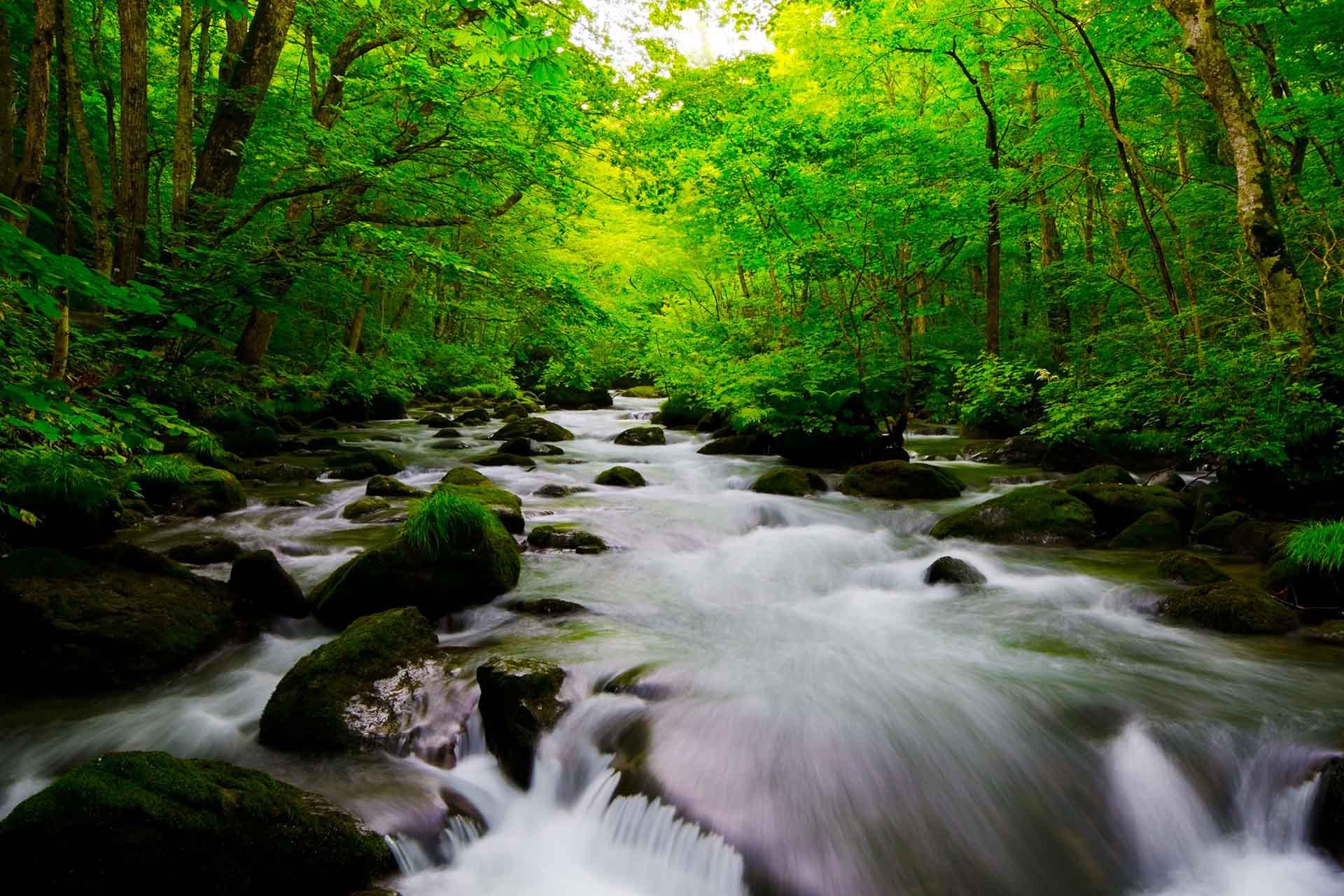 日本東北夏季行程景點推薦,奧入瀨溪流