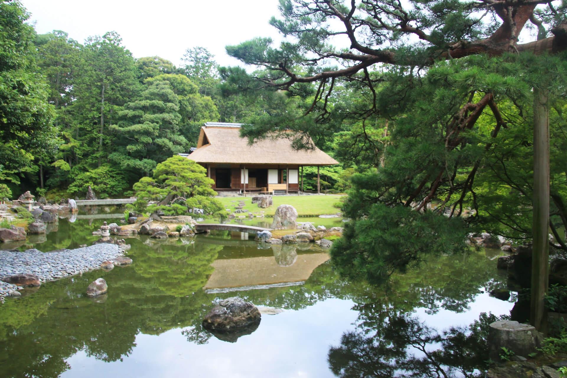 桂離宮茶庭