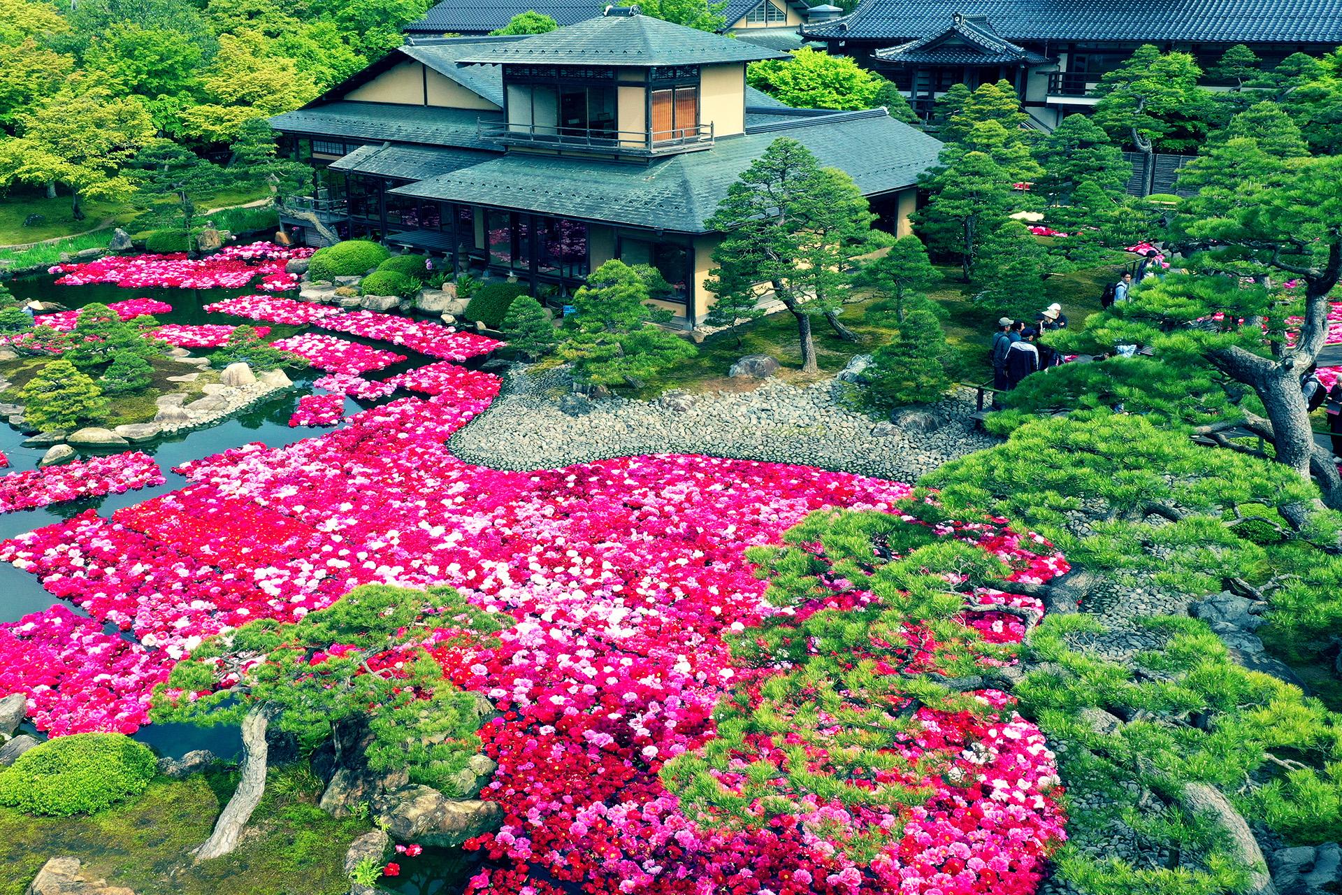 由志園