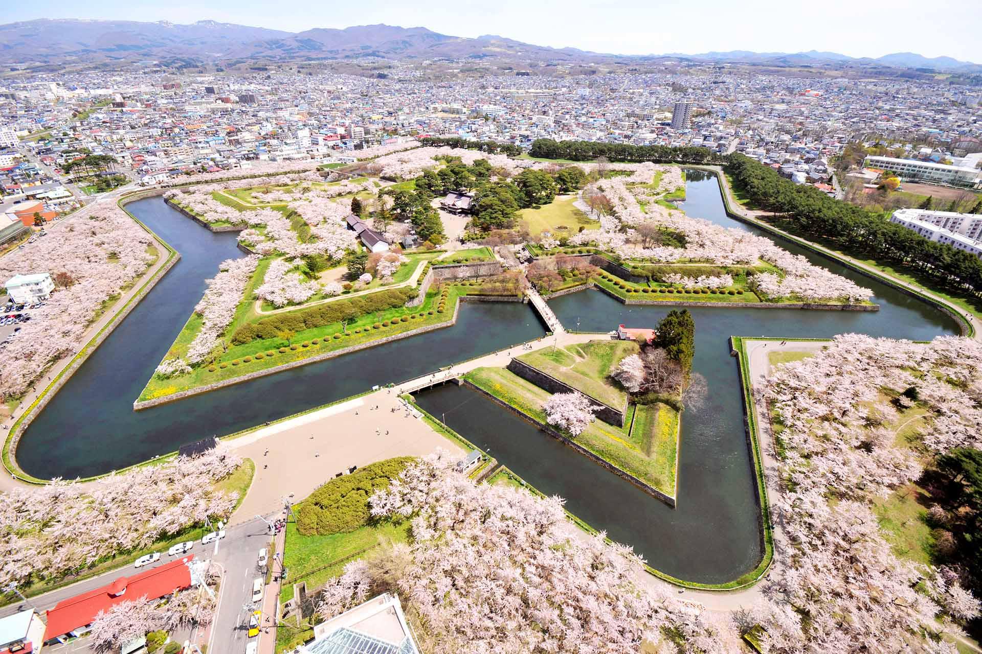 五稜郭公園賞櫻