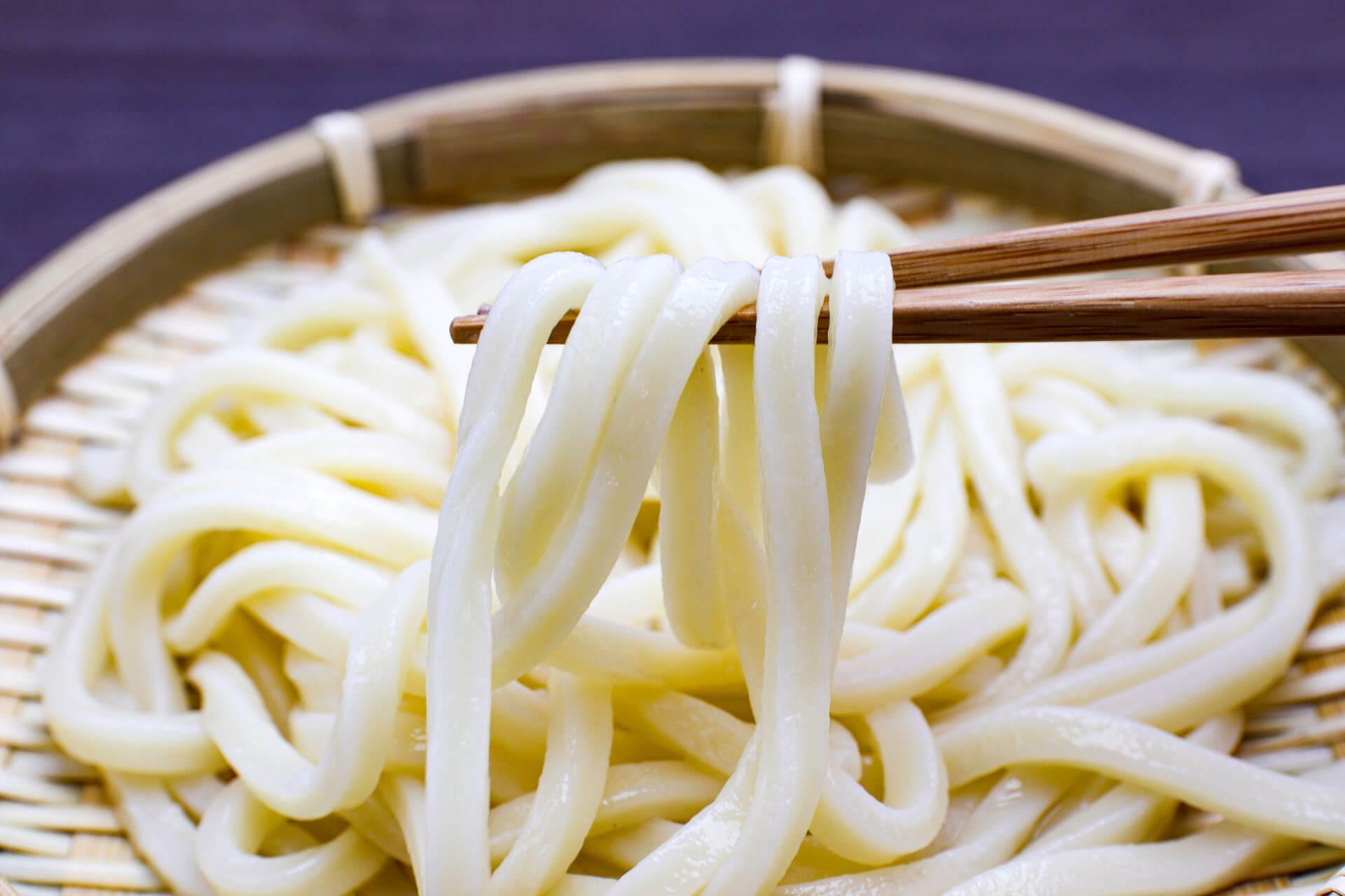 讚岐烏龍麵