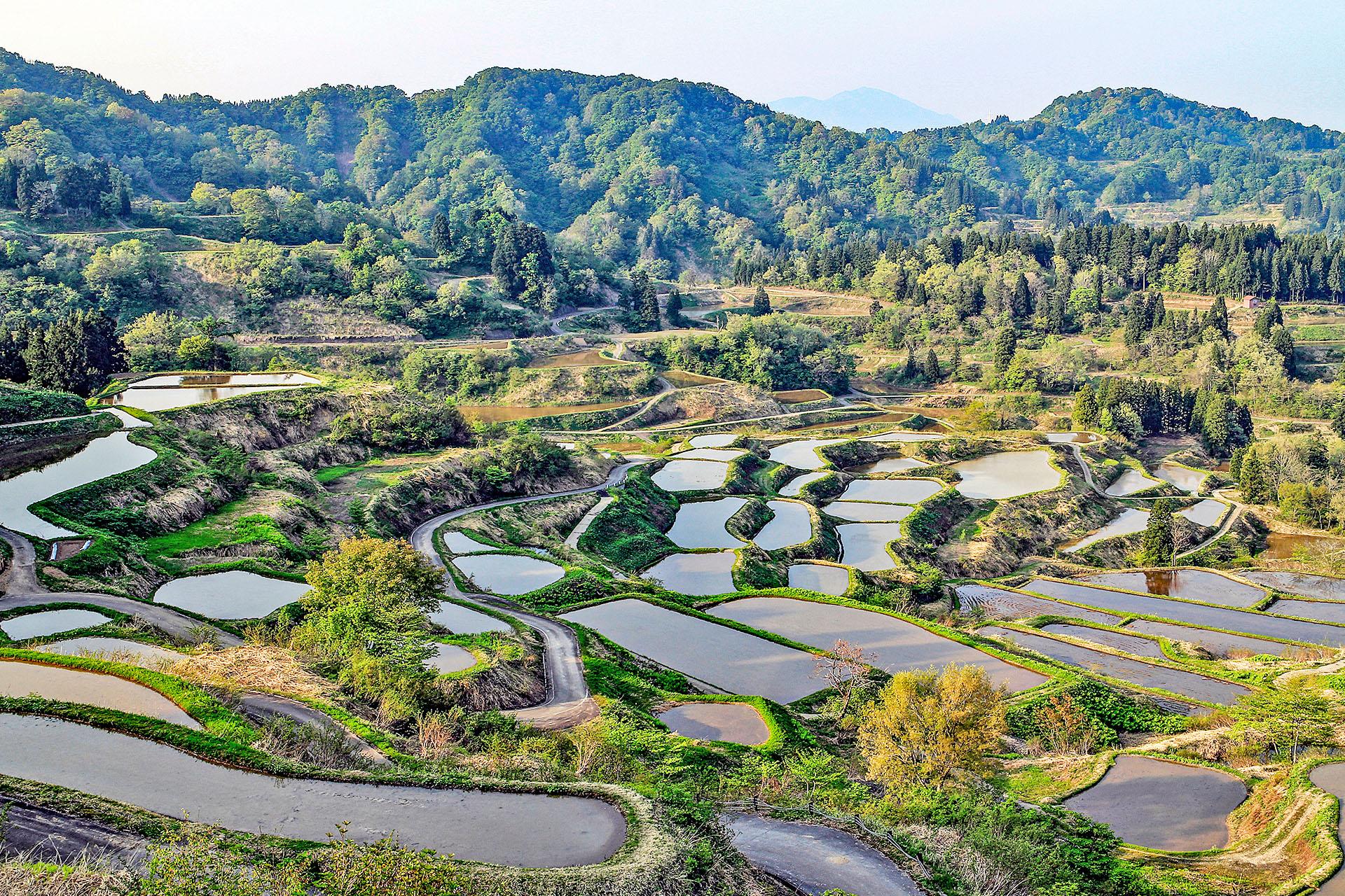 星峠梯田景色示意圖