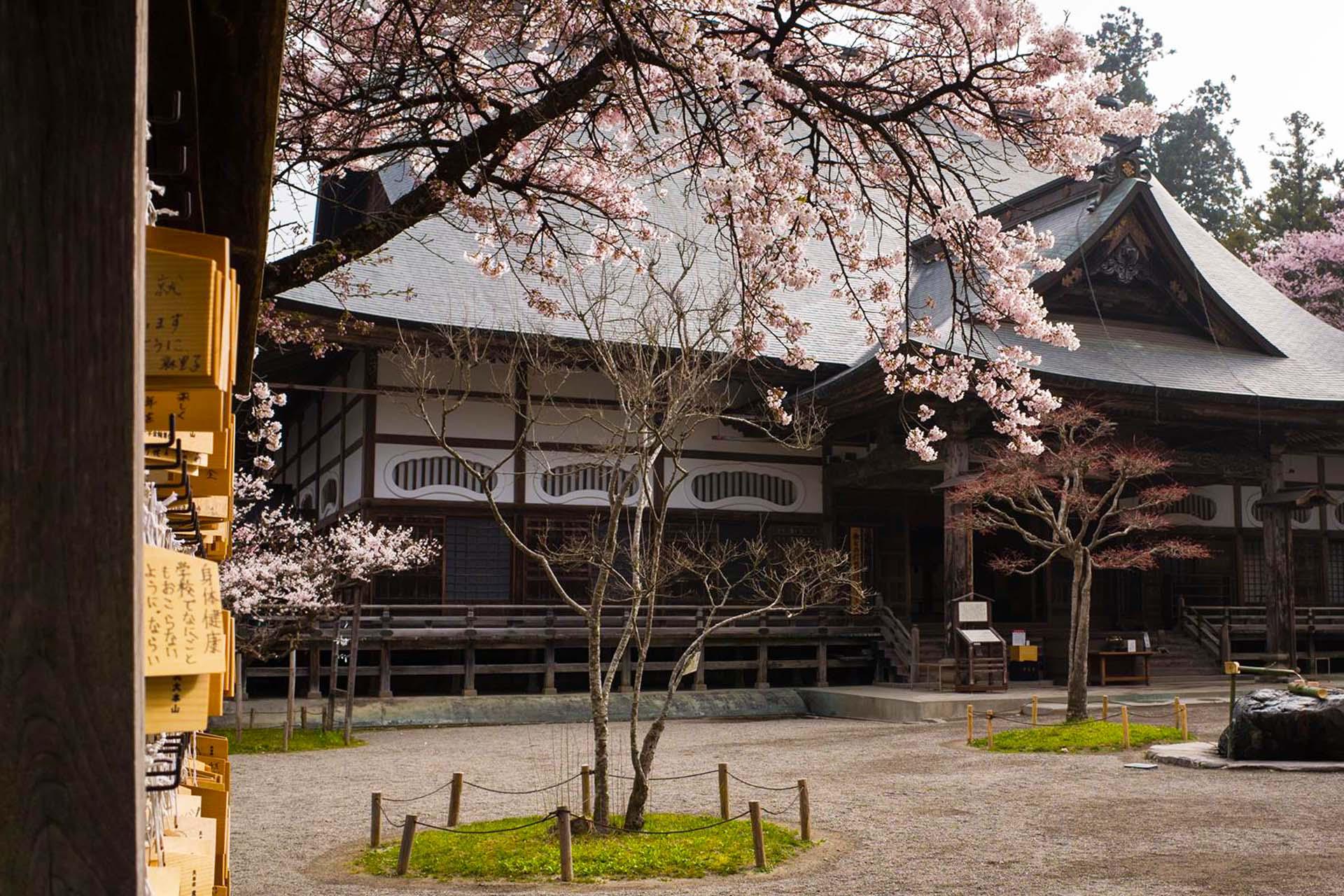 日本旅遊團推薦-加利利旅遊