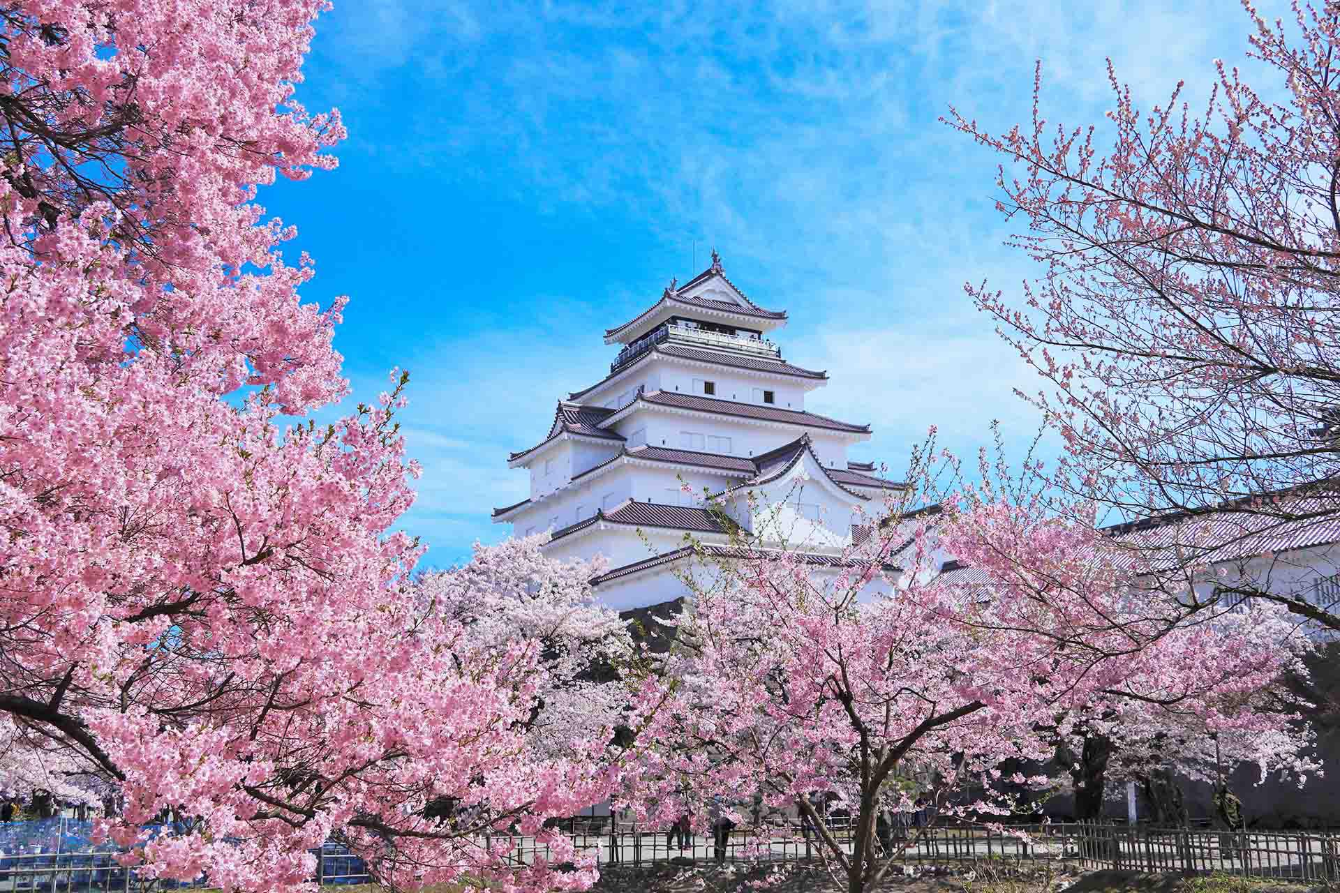 日本東北春季行程景點推薦,會津若松城