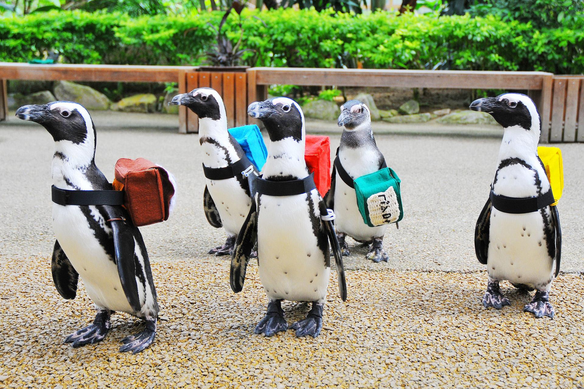 松江花鳥園
