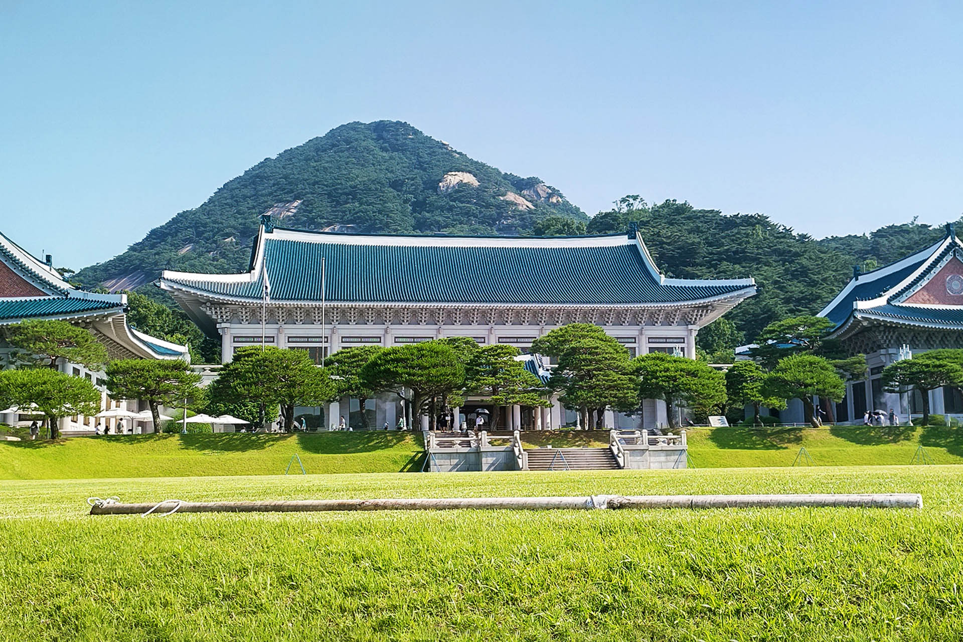 青瓦台