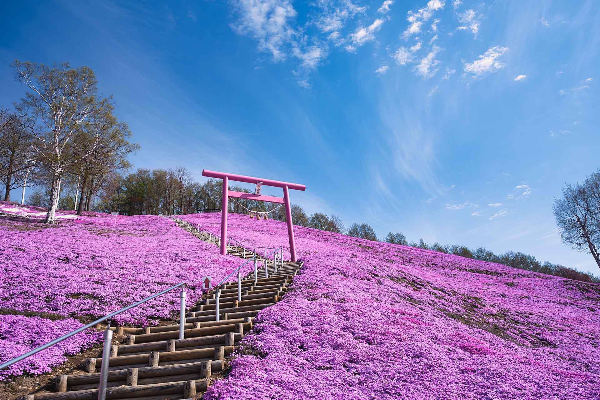 日本北海道七日行程推薦