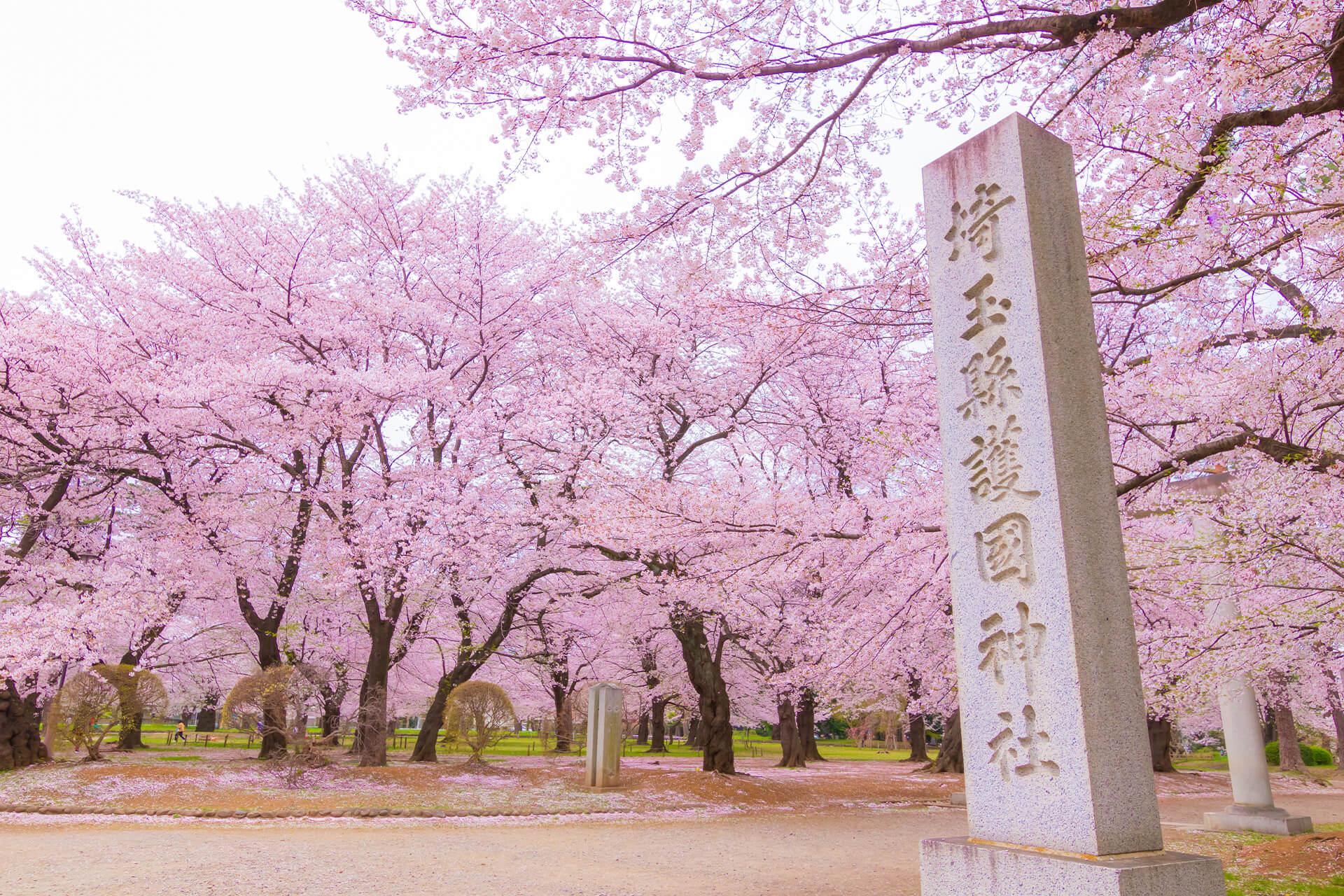 日本神社的社號