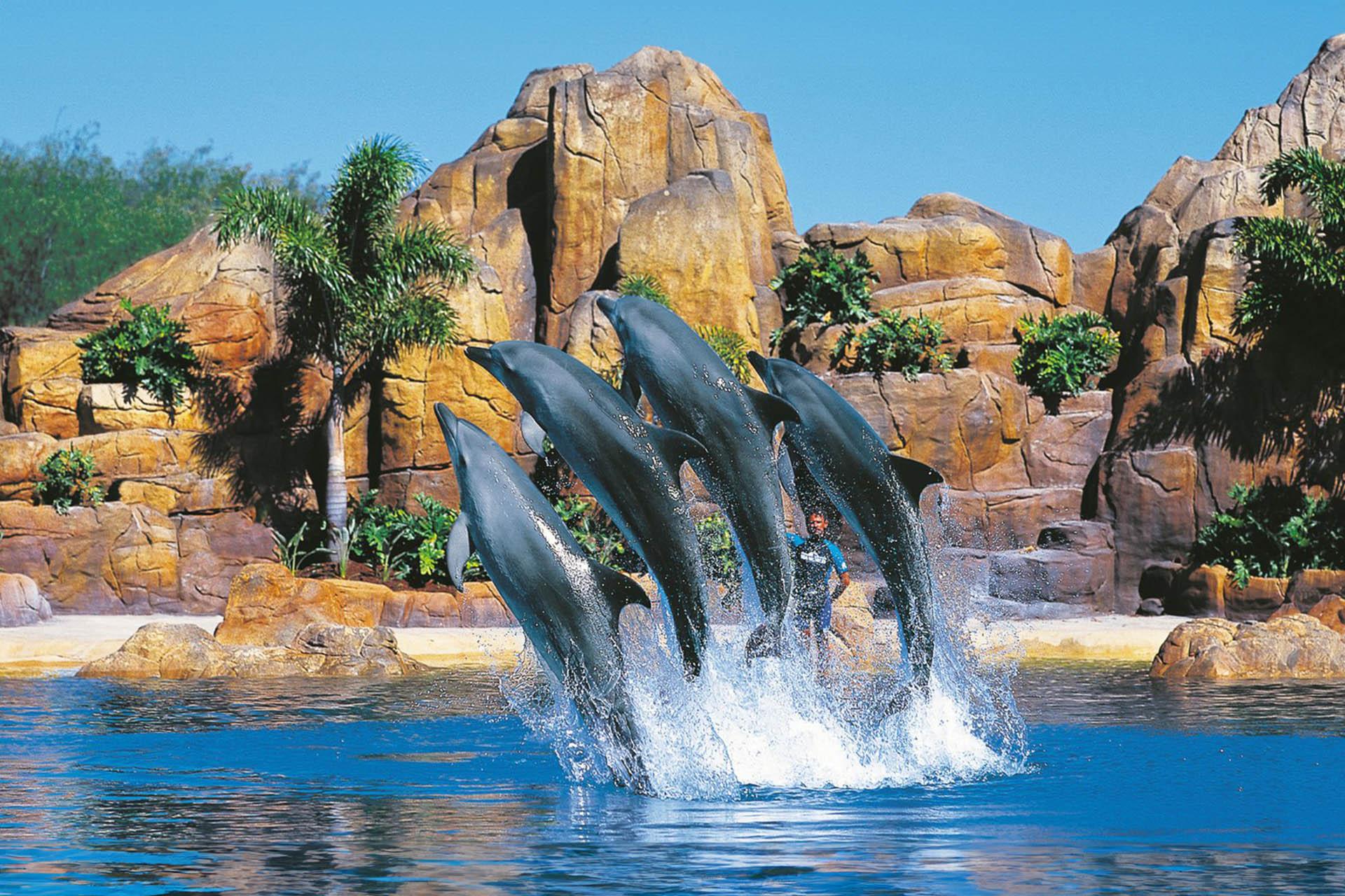 黃金海岸-海洋世界樂園