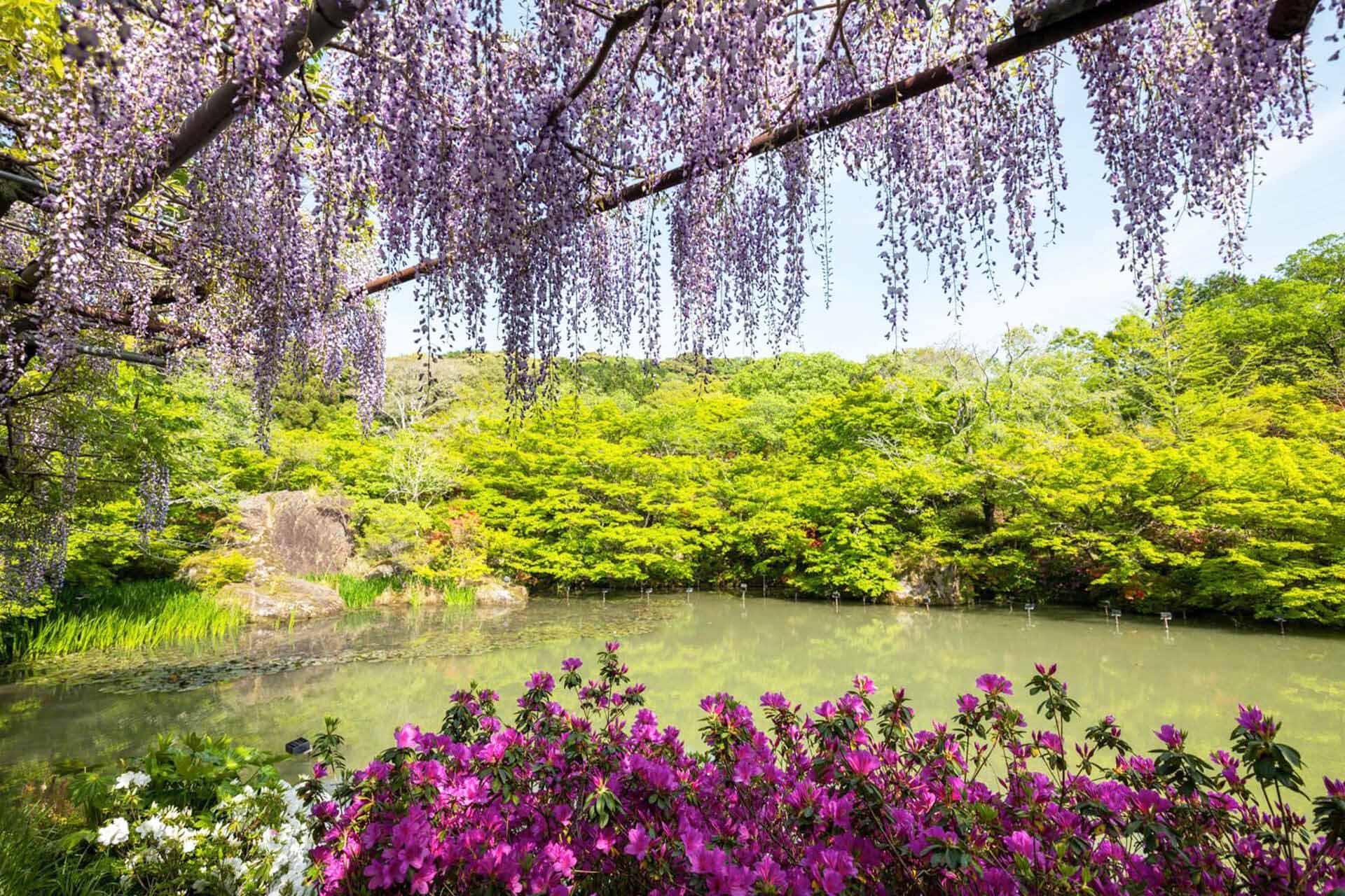 御船山樂園