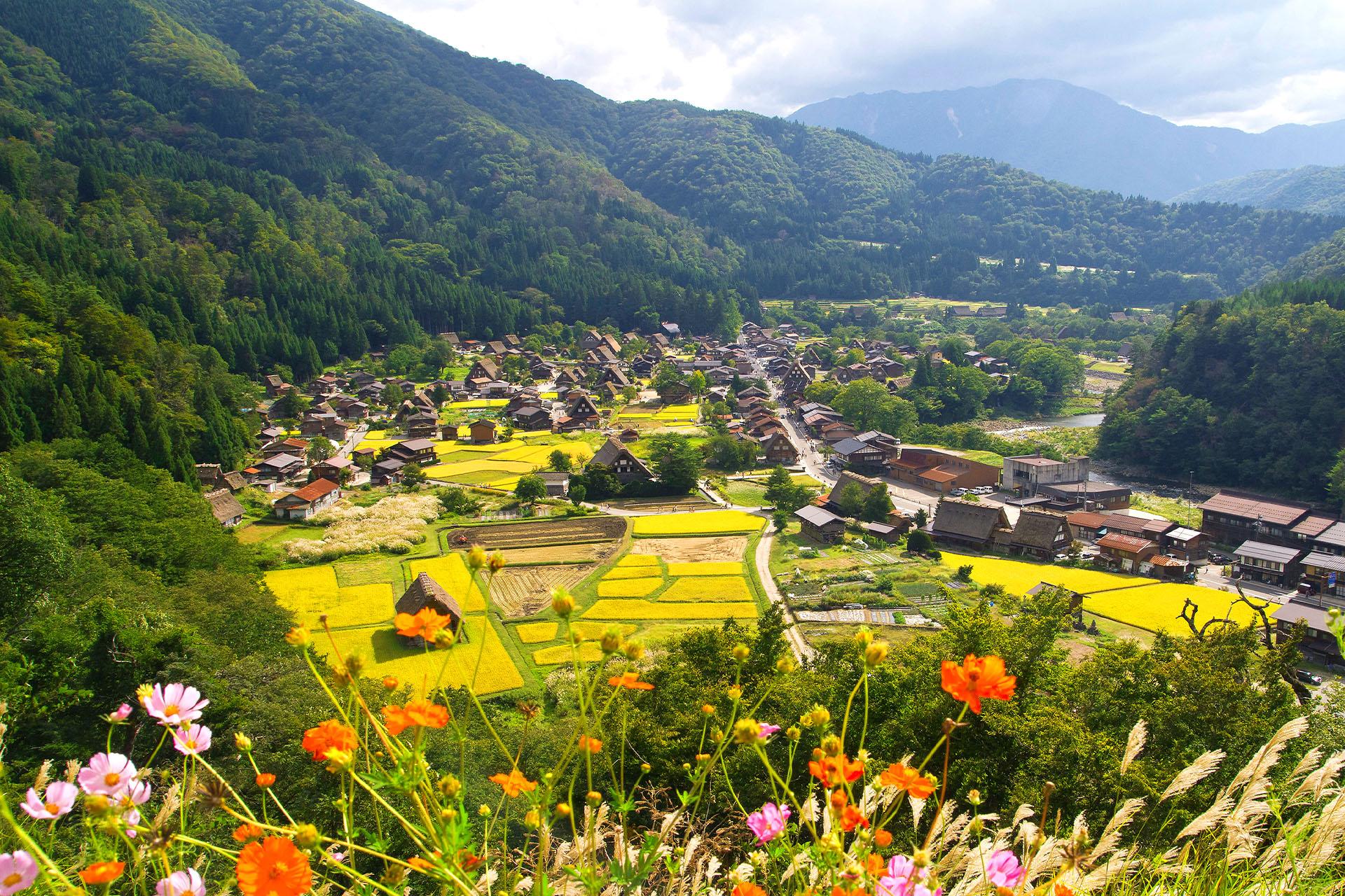 合掌村景色示意圖