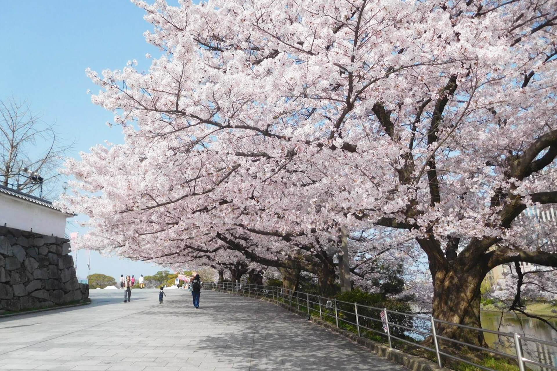 福岡城跡