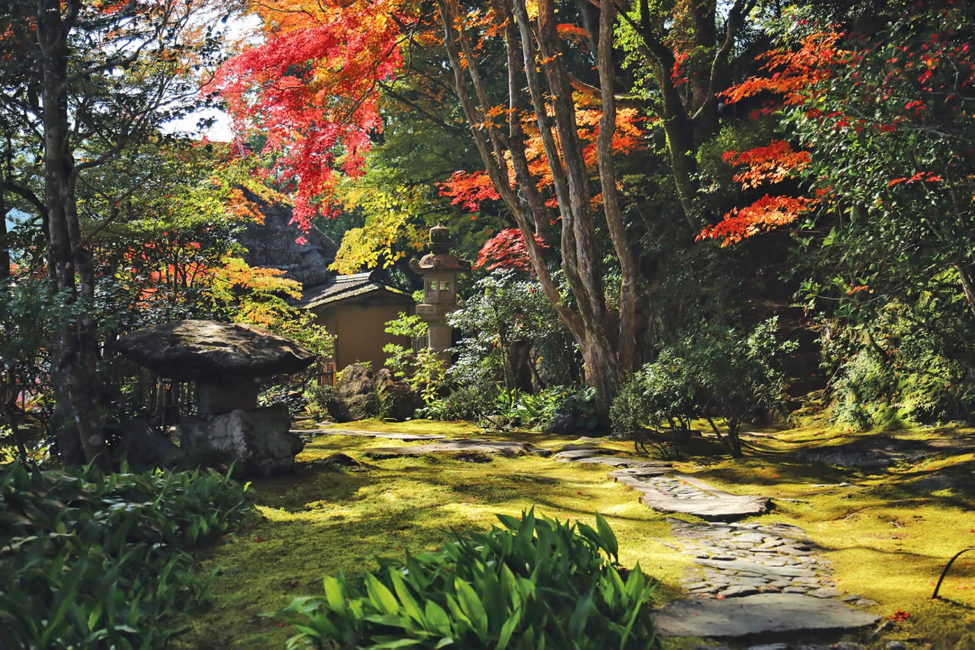 臥龍山莊