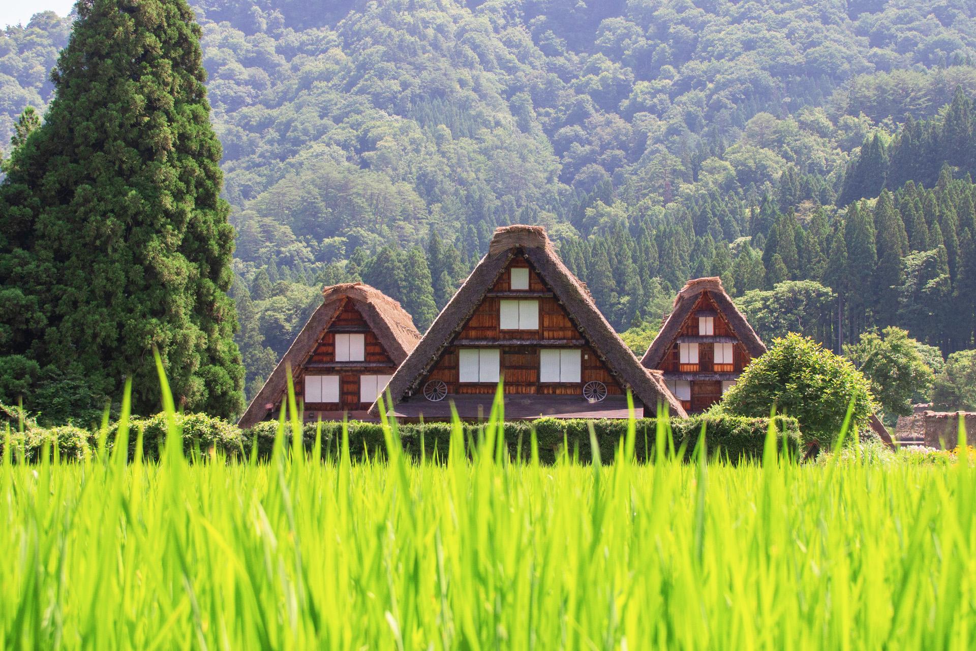 加利利北陸旅遊