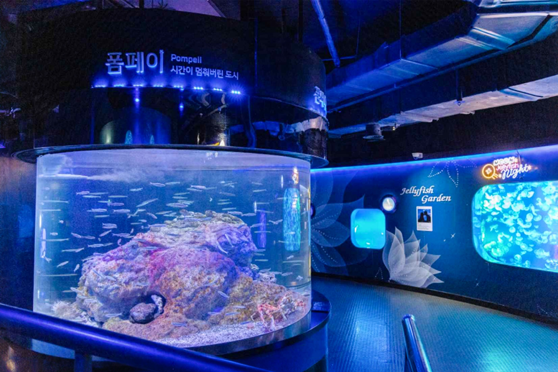 COEX 水族館
