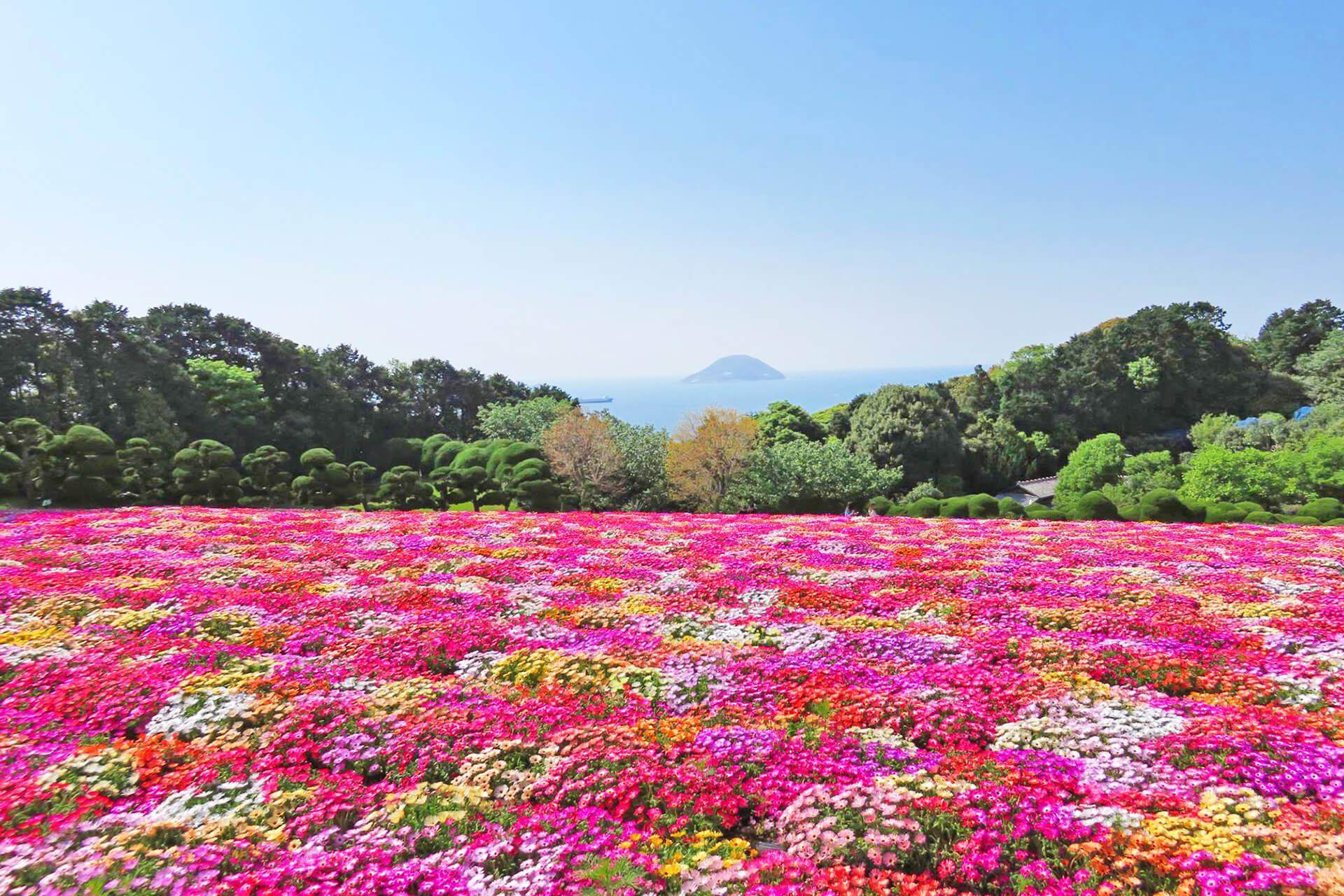 能古島海島公園