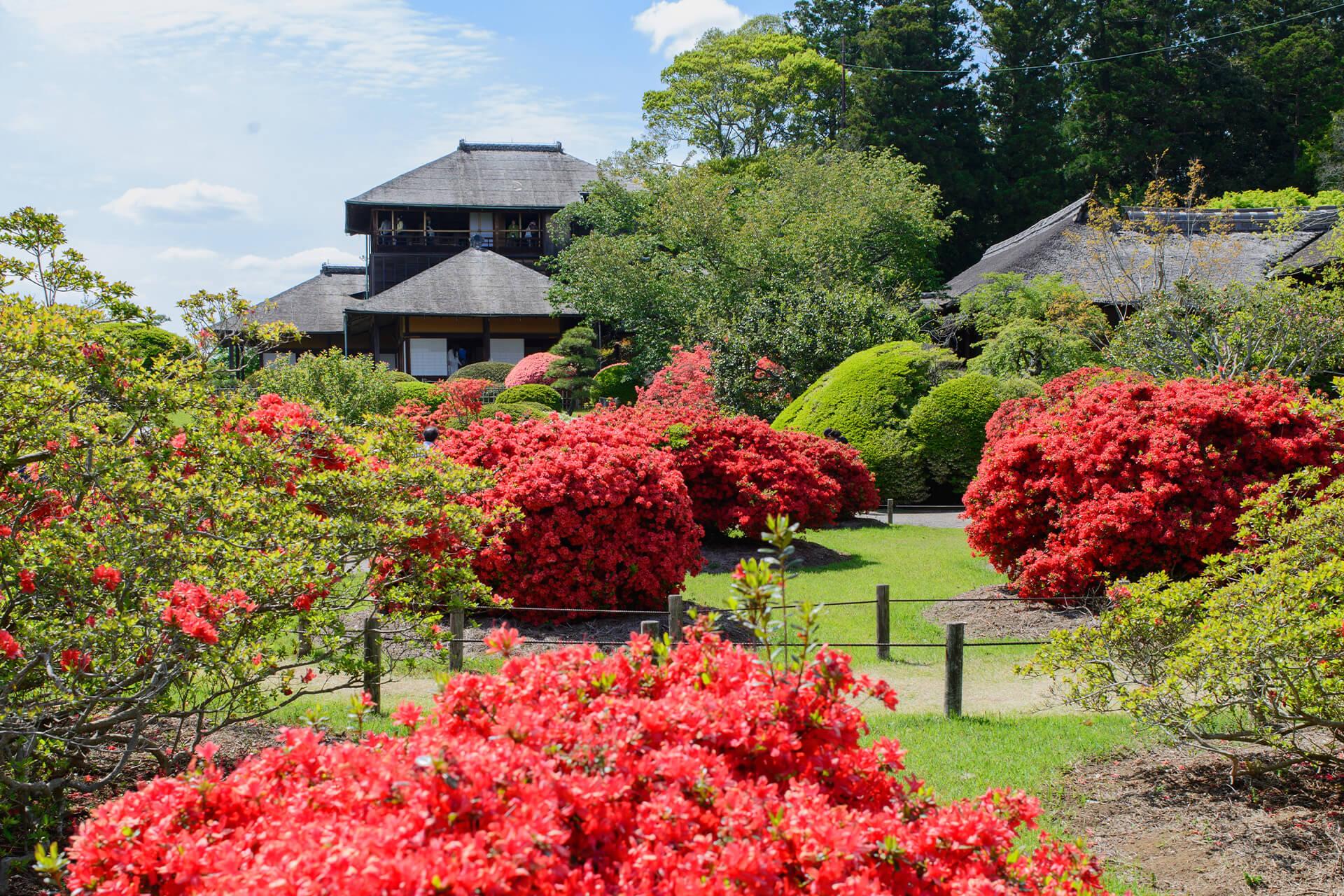 茨城縣偕樂園