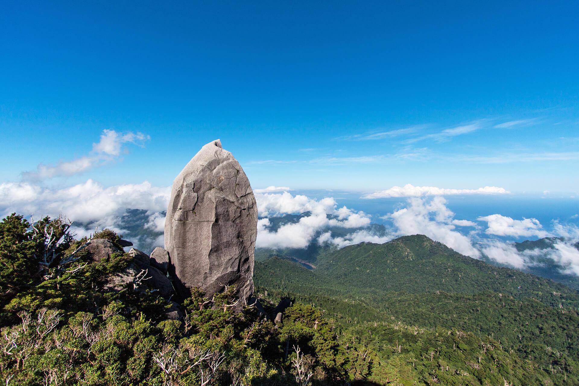 屋久島 或 任一景點