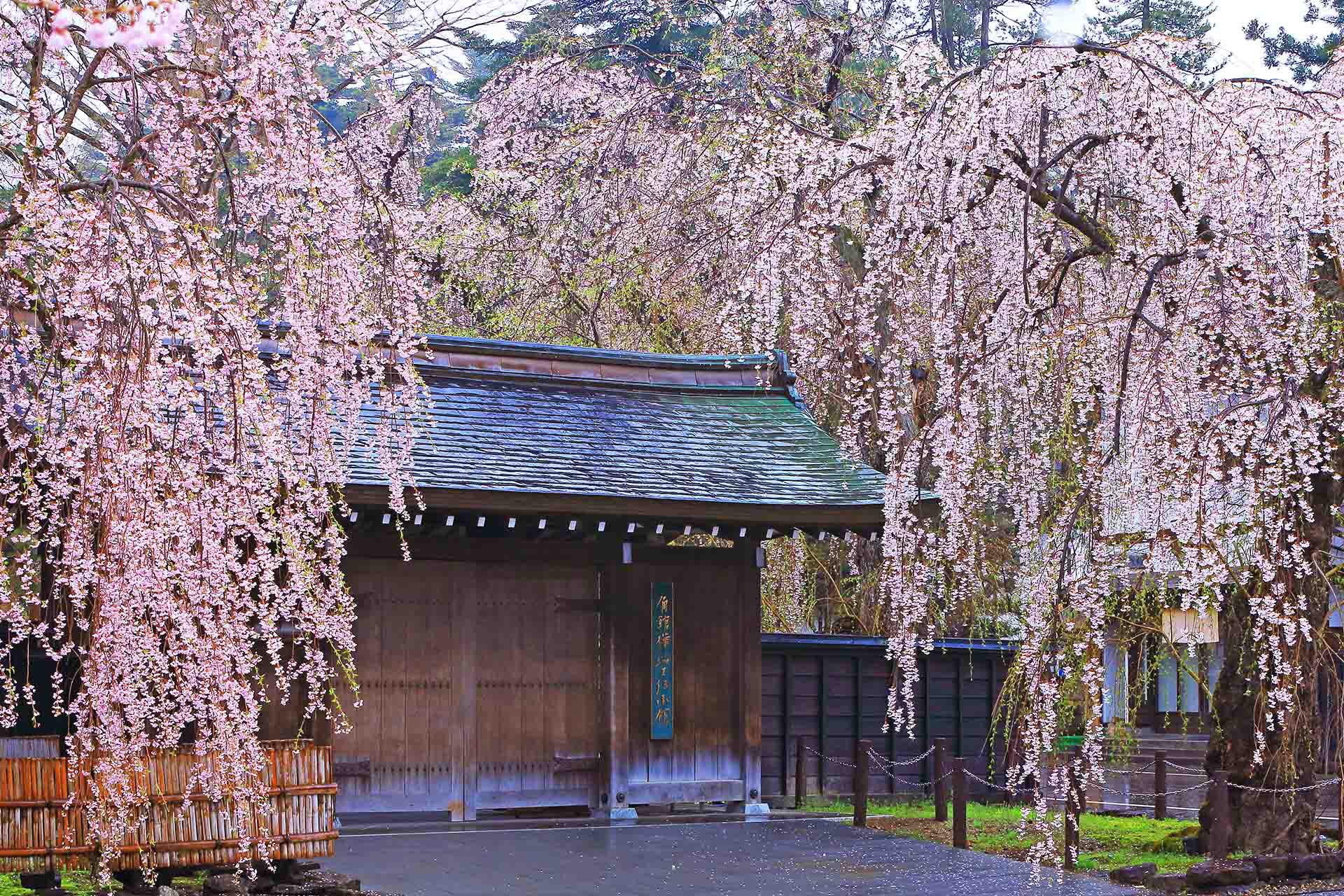 日本東北春季行程景點推薦,角館武家屋敷