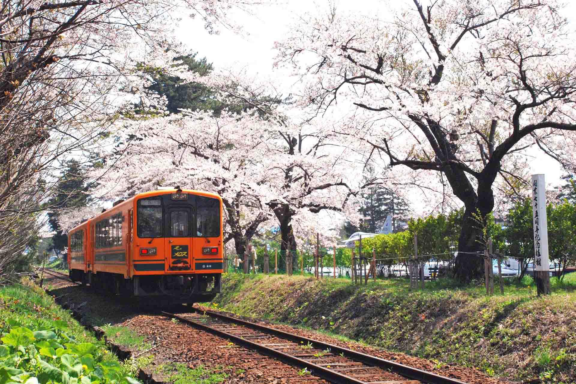 日本東北春季行程景點推薦,蘆野公園