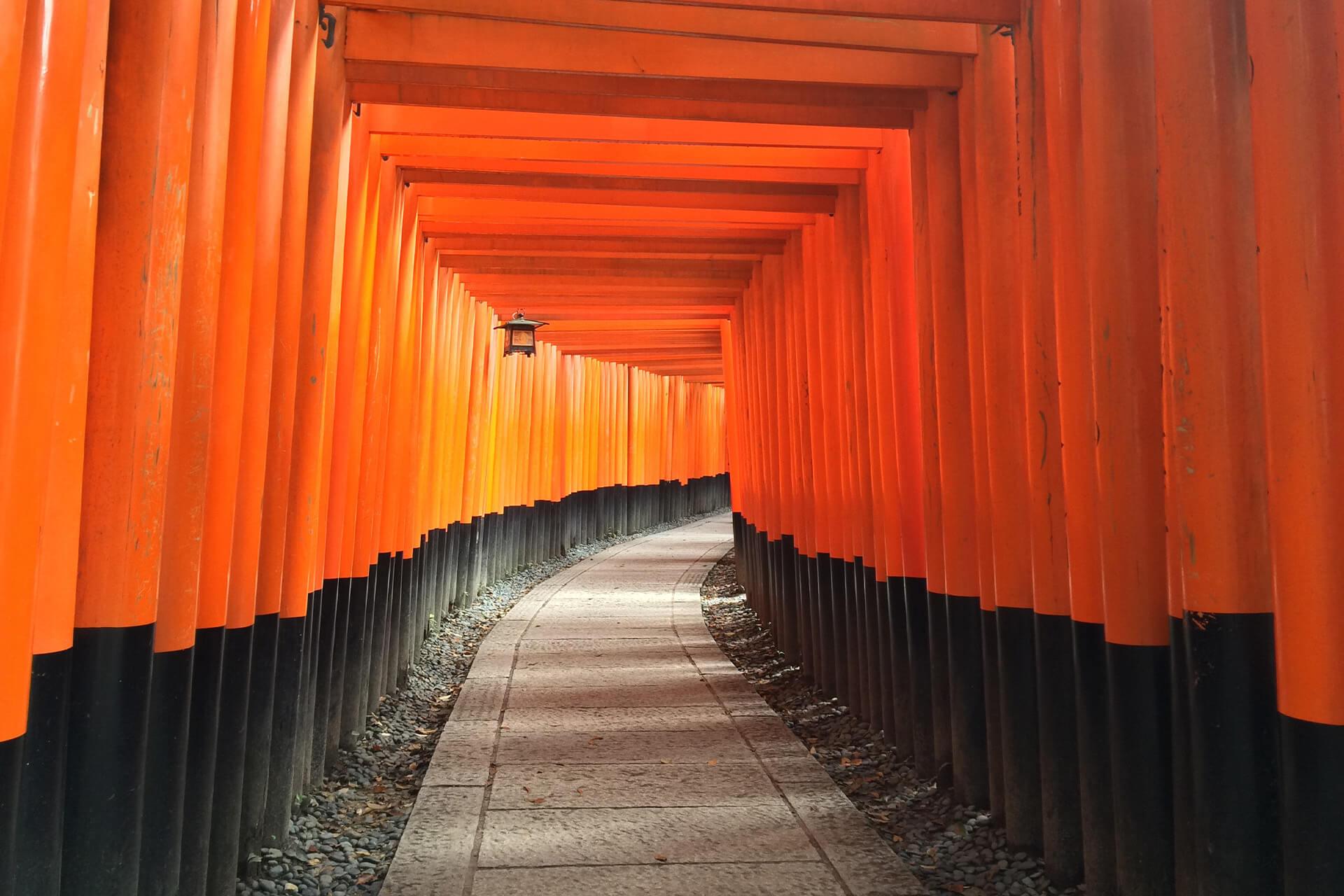 加利利日本旅遊