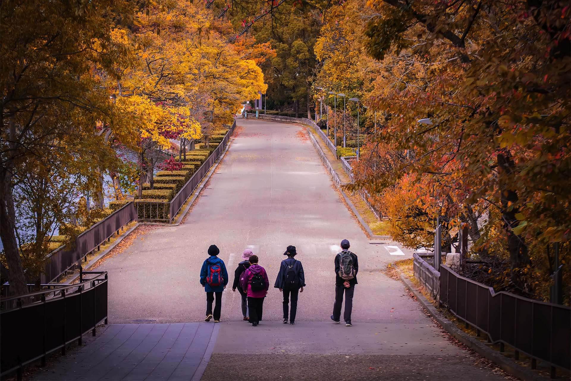 跟團旅遊示意圖
