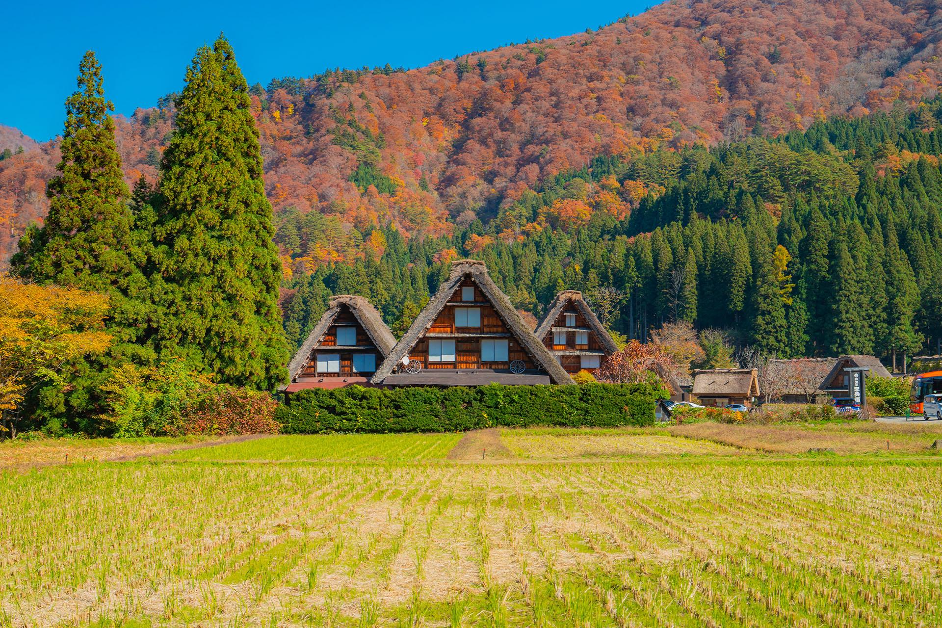 白川鄉合掌村