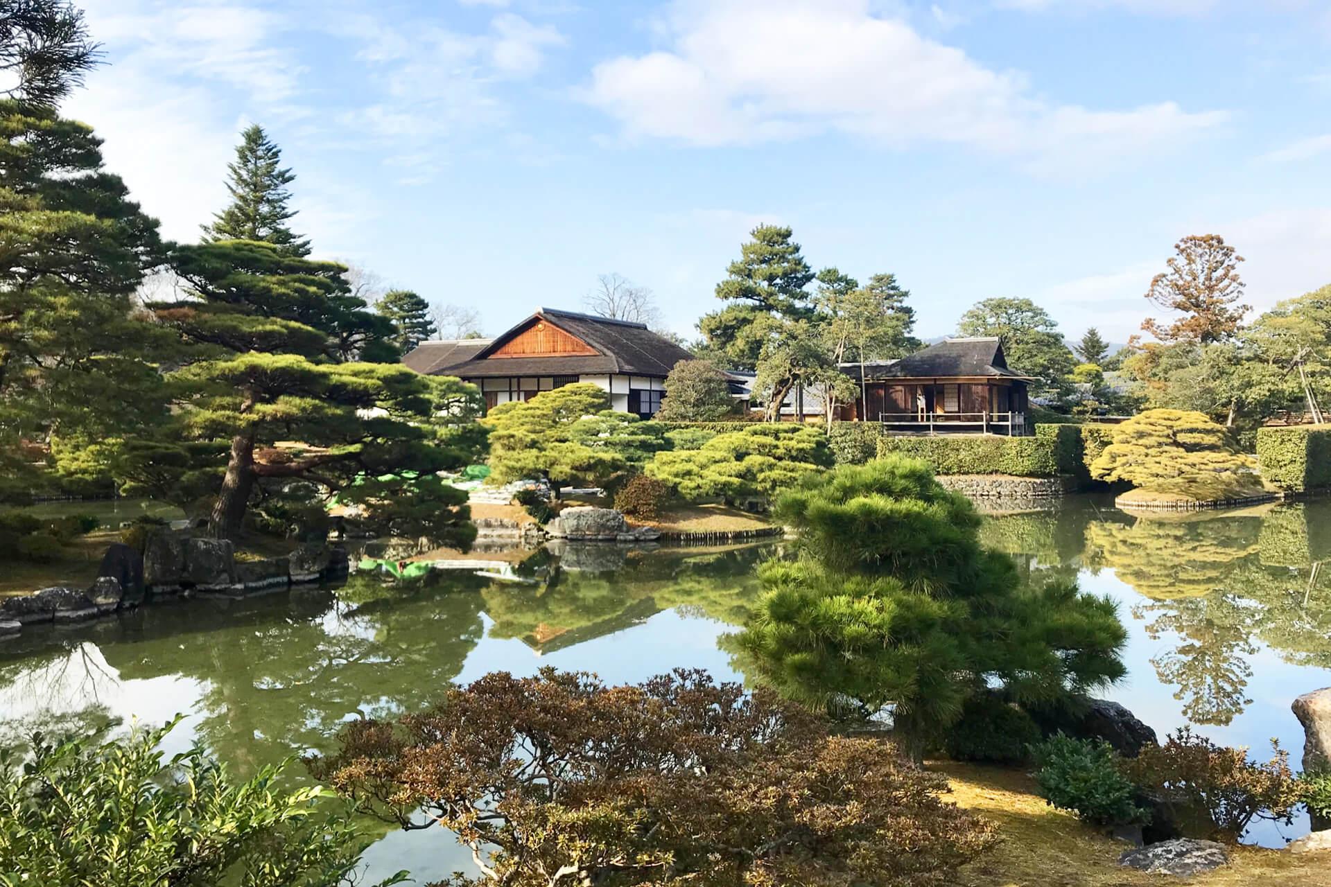 桂離宮茶庭