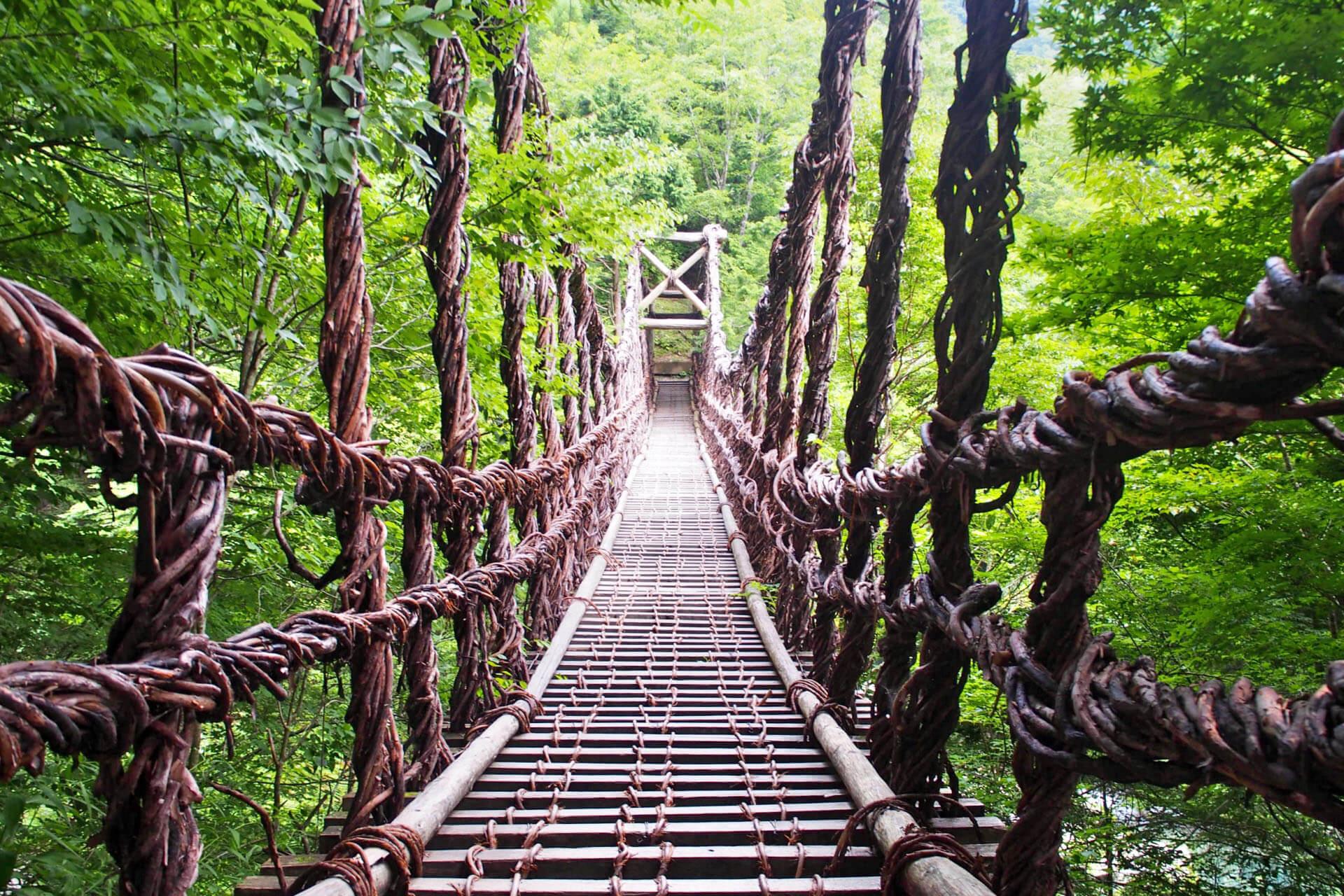 祖谷藤蔓橋