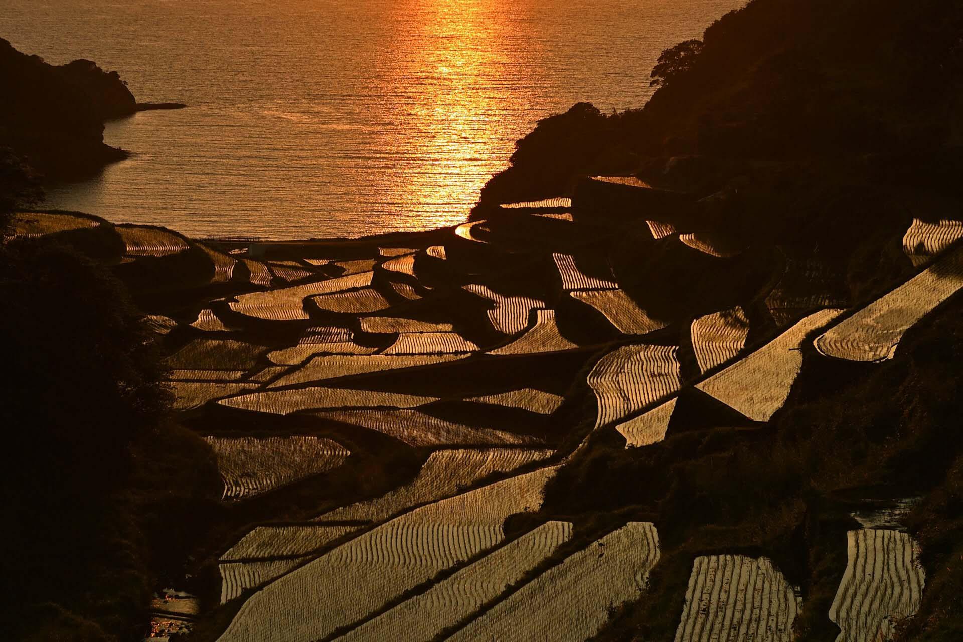 濱野浦梯田夕陽時刻