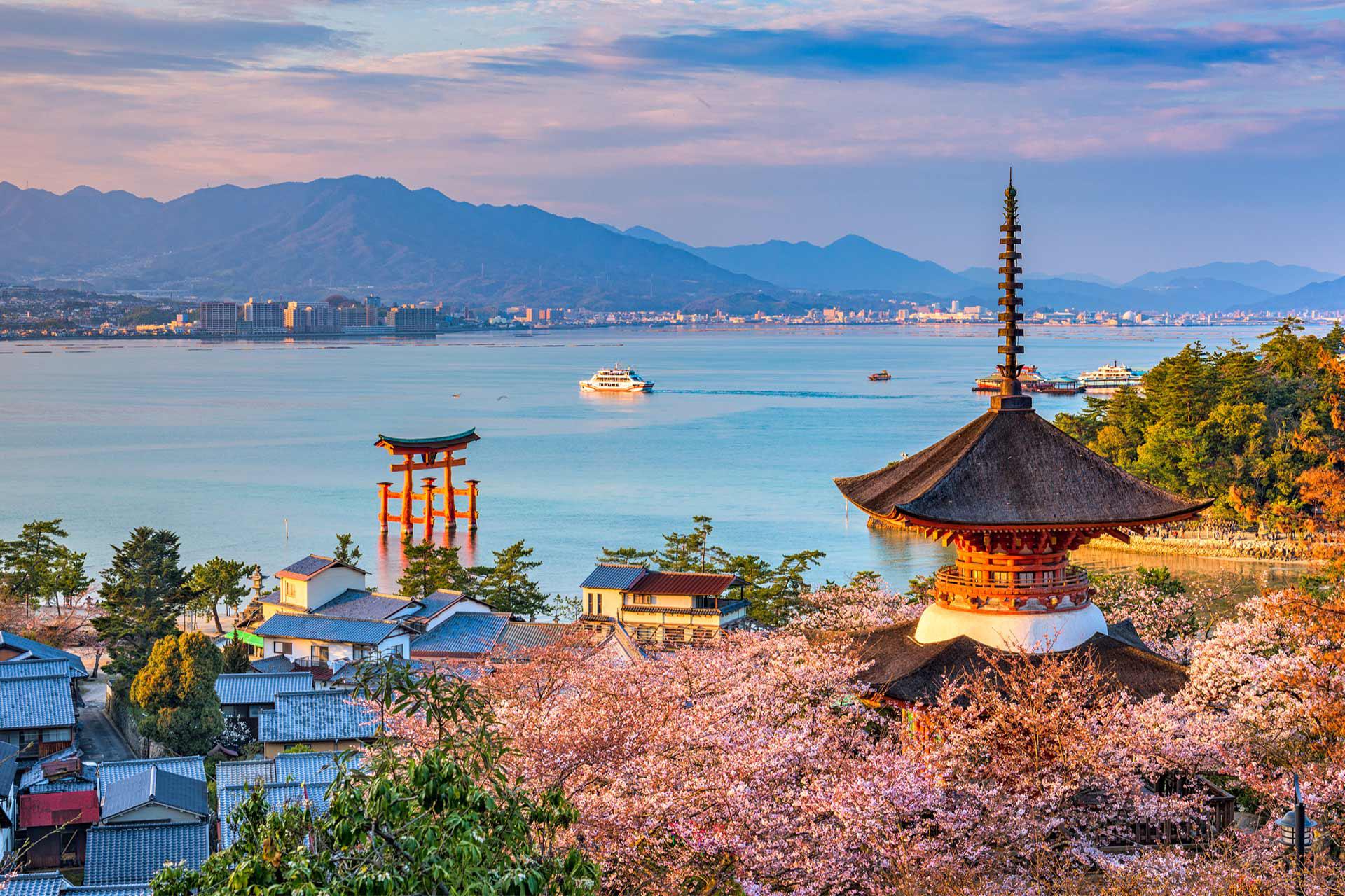 嚴島神社賞櫻