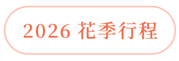 春旅浪漫啟程
