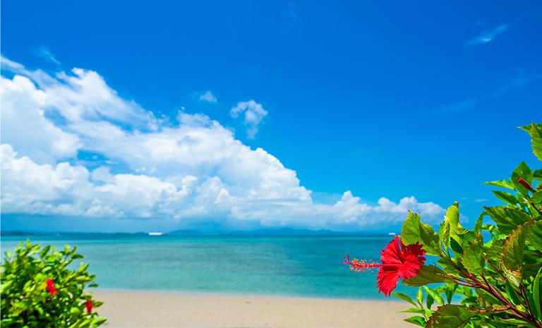 沖繩．8人尊寵小團5日 - 海濱夢宿連泊．海上拖曳傘．海底景觀玻璃船