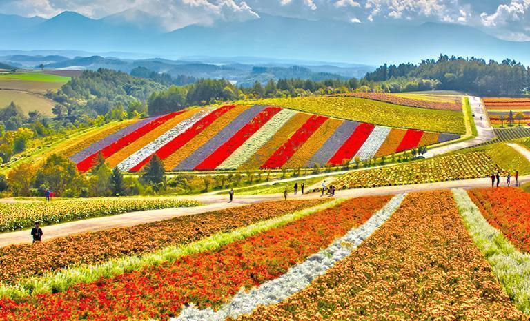 北海道．楓絢定山溪5日(秋季賞楓) - 【初見日本】白金青池．四季彩之丘．秋戀大雪山．豐平川獨木舟