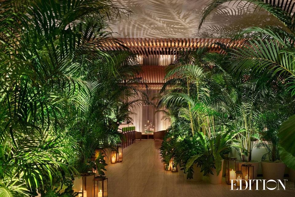 暮色月夜.悠逸雅趣