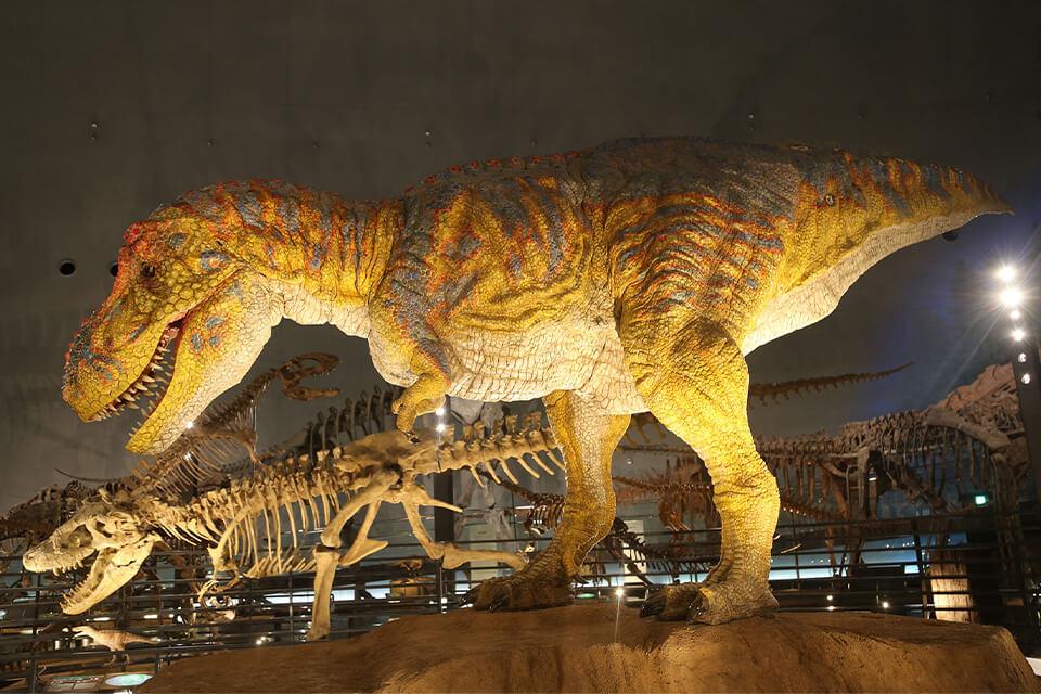 侏儸紀探險．恐龍王國福井縣