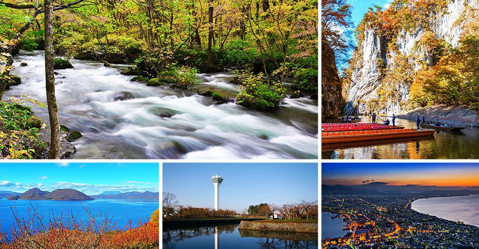 北海道東北．盎然日麗