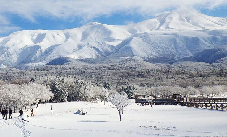 北海道.雪絮道東7日(冬季) - 冬凌知床半島.美瑛白金青池.瑰琦阿寒湖
