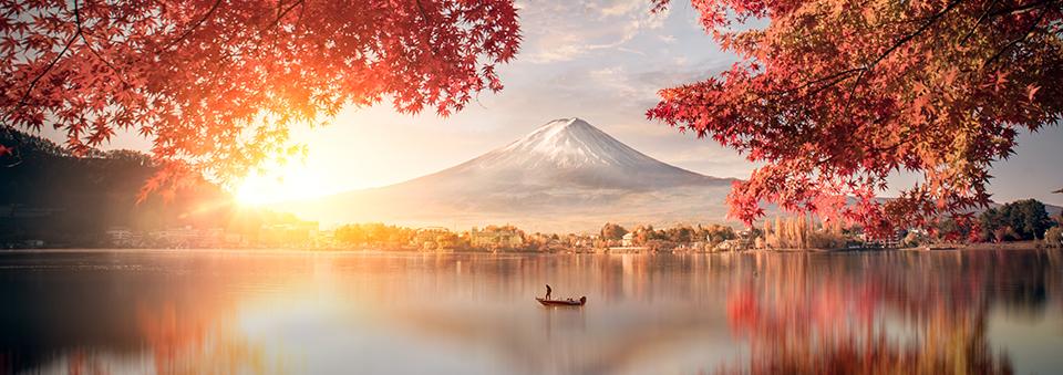 加人之絆二部曲．星曜日本