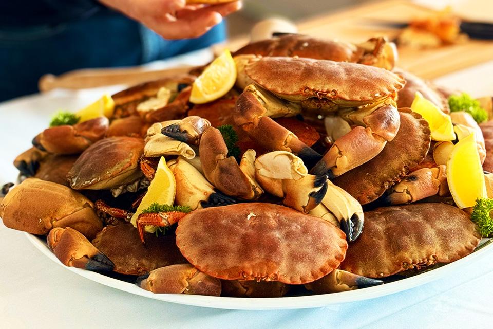 新鮮甘美的大海滋味 邂逅味蕾之美