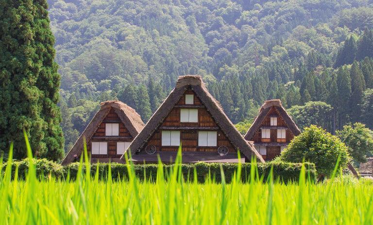 北陸．恐龍巨獸傳奇7日(親子推薦) - 【初見日本】侏儸紀列車．恐龍博物館．白川鄉合掌村．福井金澤連泊