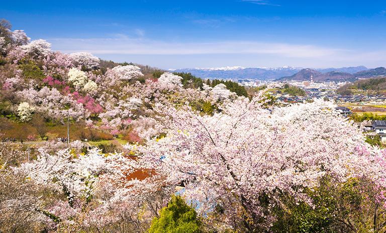 北關東．春織花見山5日 - 櫻綻千波湖．三春瀧櫻．土湯溫泉．那須溫泉癒宿
