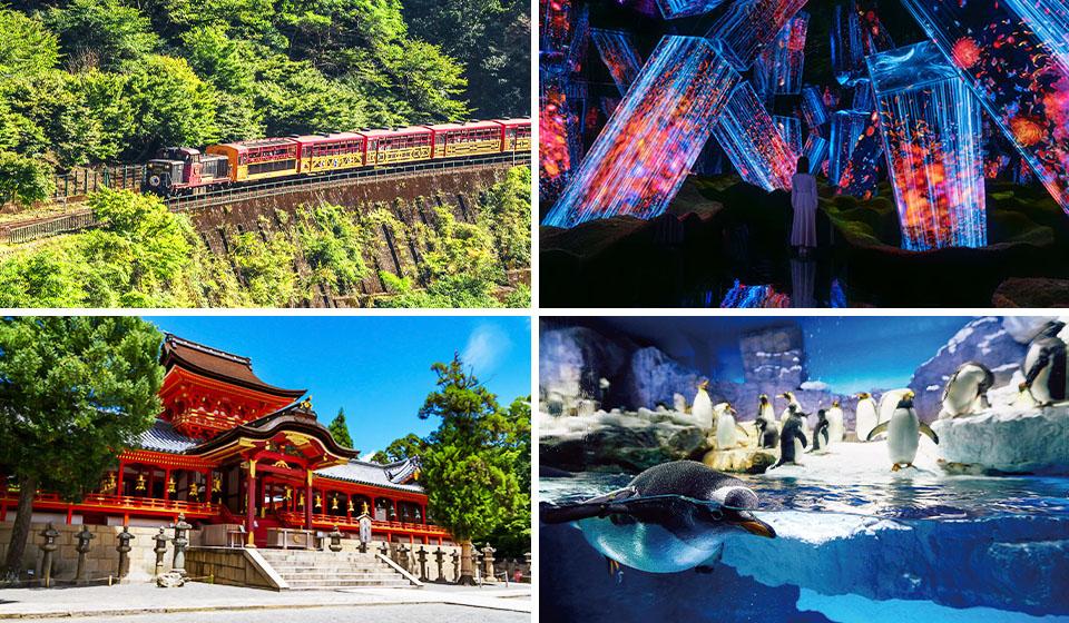 關西和煦.嫻靜芳時