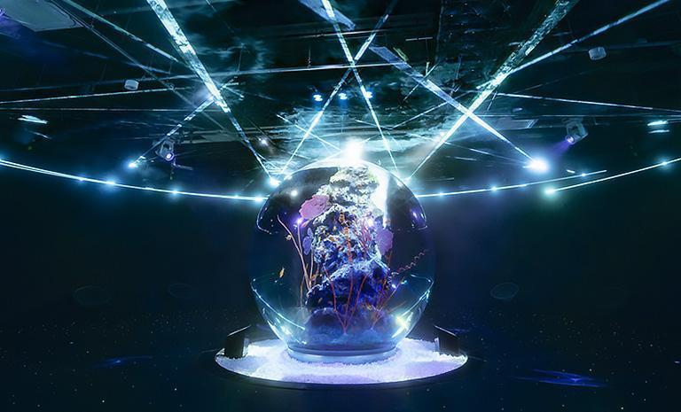 關西．玩轉環球影城5日(親子推薦) - 【初見日本】咚奇剛國度．Atoa藝術水族館．達摩勝尾寺．阪神雙連泊